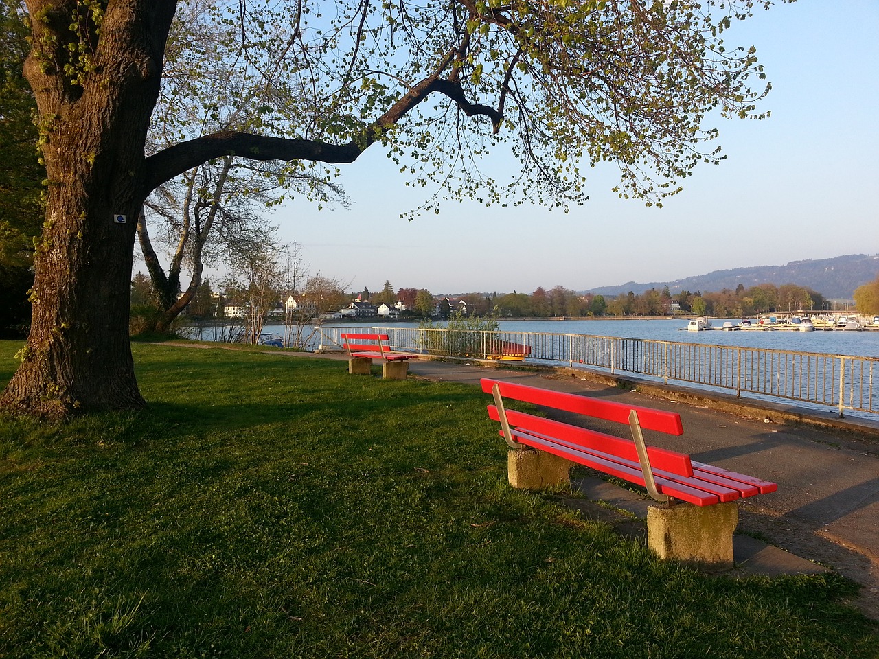 国足表现顽 国足表现顽