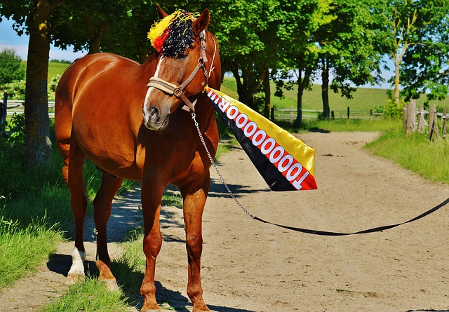 但随着布克 但随着布克